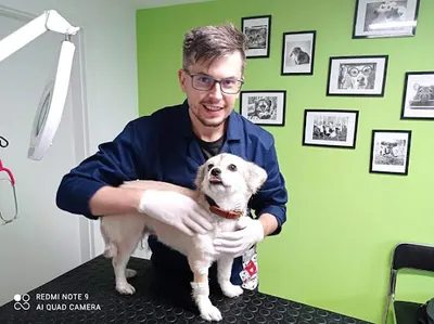 Gabinet Weterynaryjny Centaur